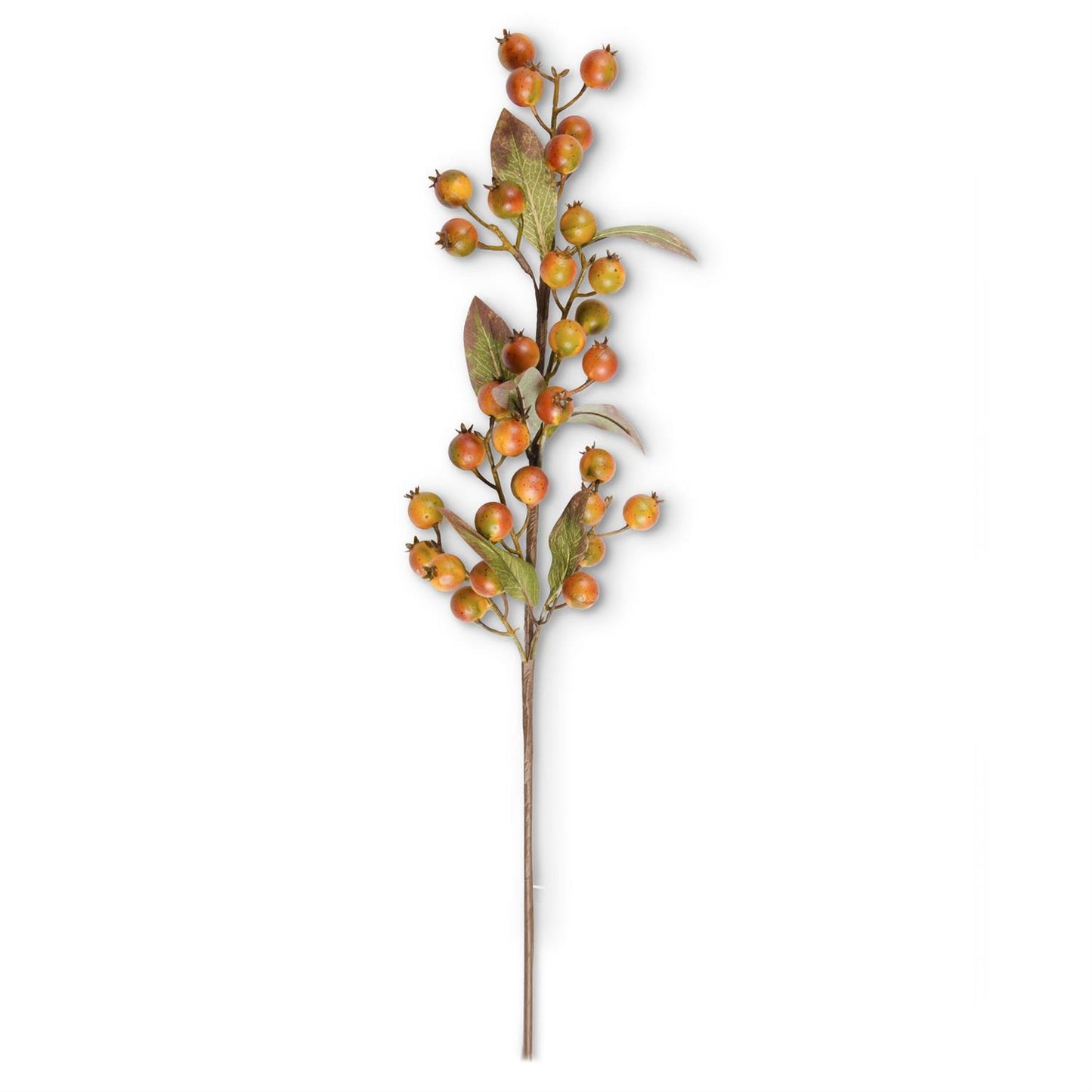 Orange w/green Rosehip stem