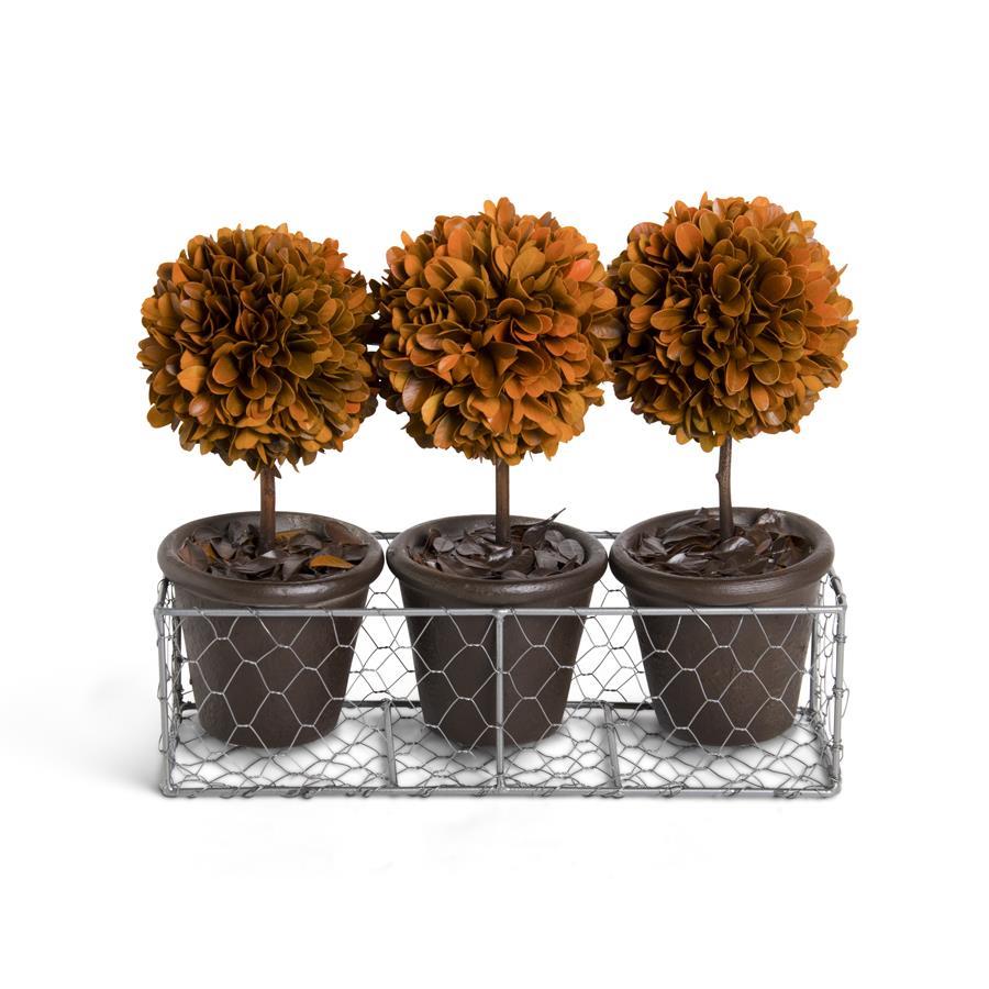 Wire Basket w/3 orange boxwood mini topiaries