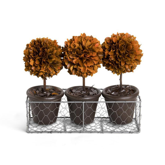 Wire Basket w/3 orange boxwood mini topiaries