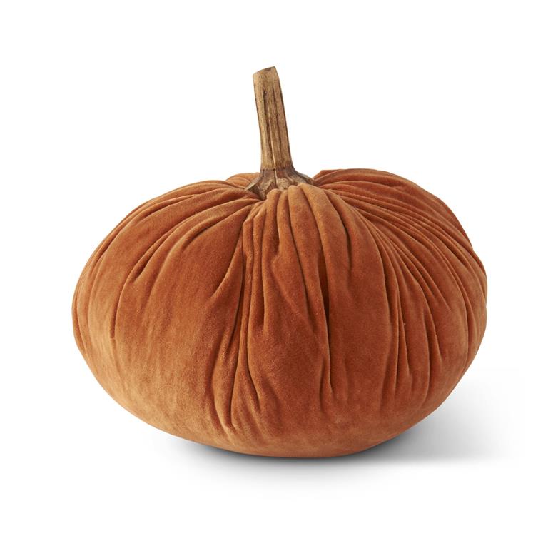 Velvet Fuched Center Pumpkin