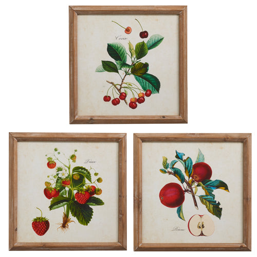 Red Fruit Framed Wall Art