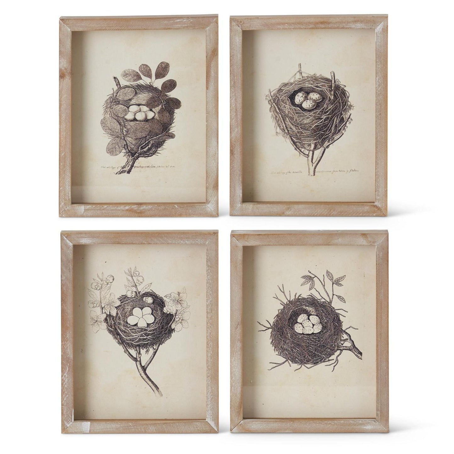 Brown Wood Framed Nest Prints