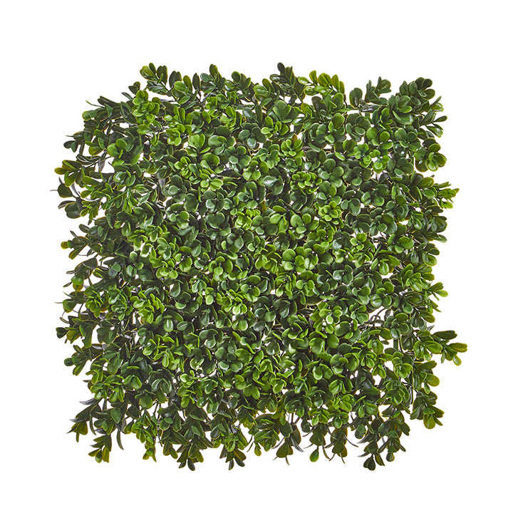 Boxwood Mat