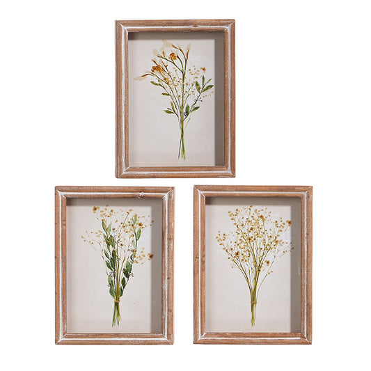 Botanical Shadowbox Framed Print