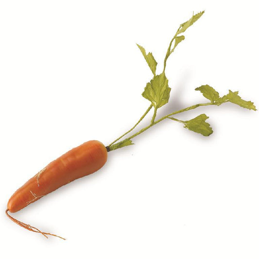 Orange Long Carrot