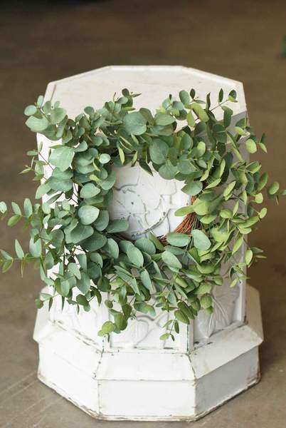 Eucalyptus Wreath