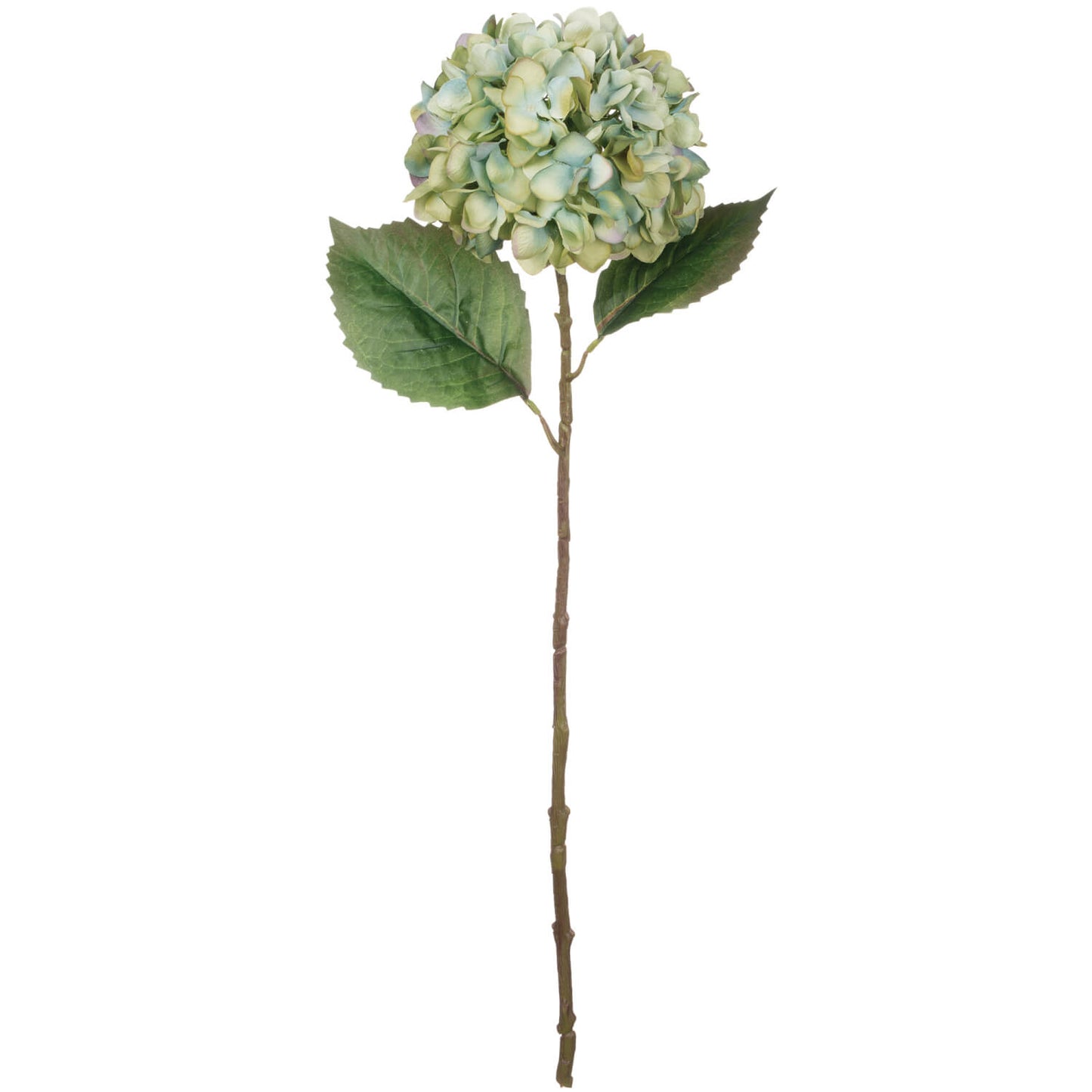 Hydrangea Stem Blue