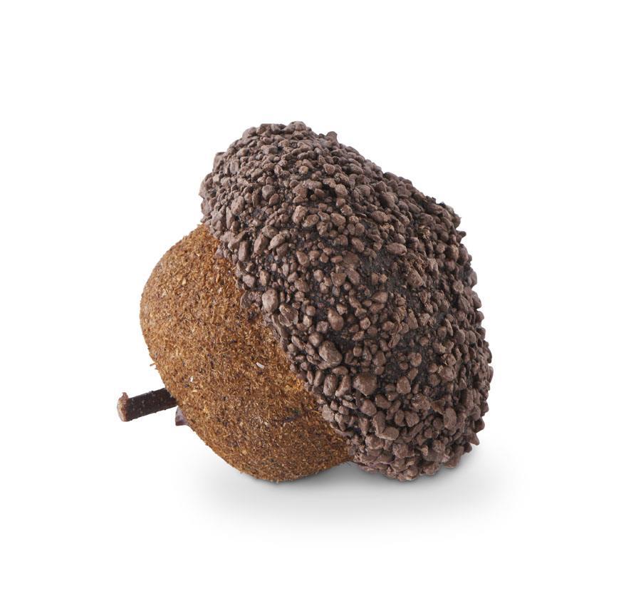 Small bag of Acorns