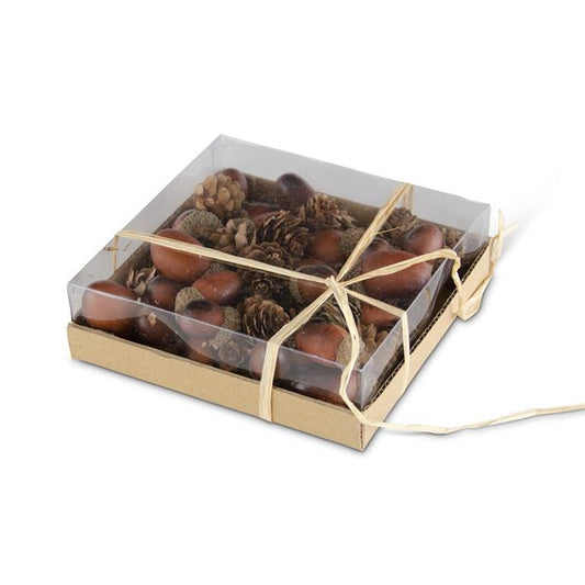 Box of 24 Assorted Dark Brown Acorns