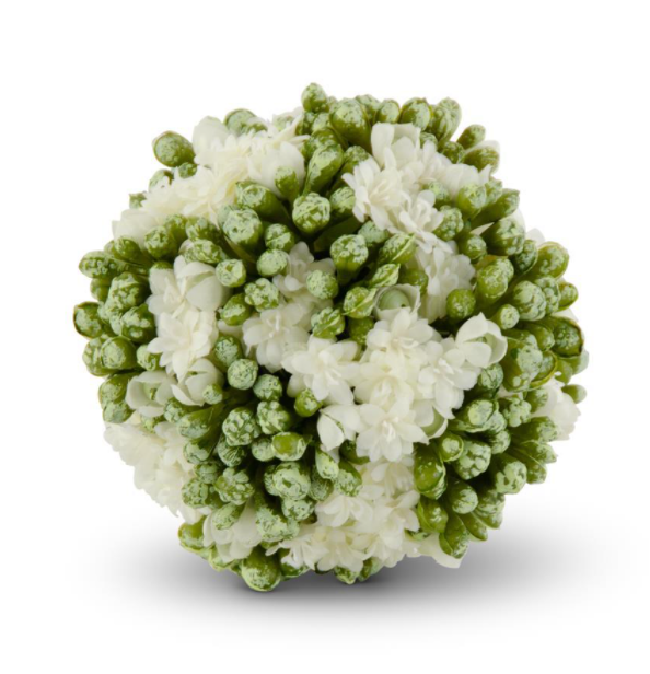 White Kalanchoe Ball