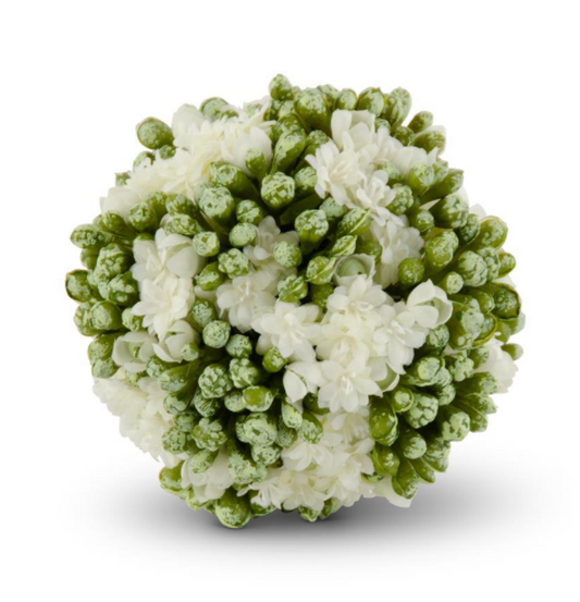 White Kalanchoe Ball