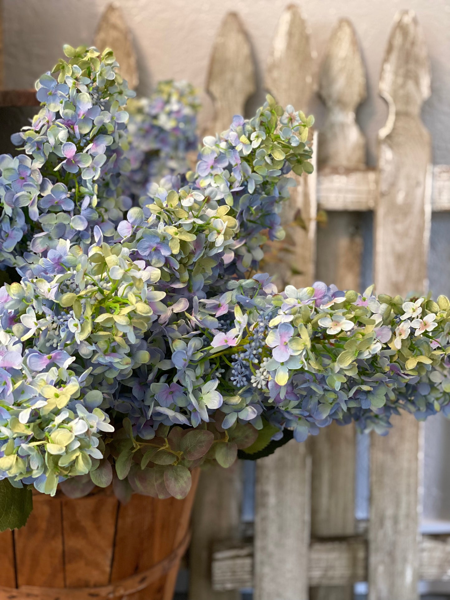 Blue cone Hydrangea stem