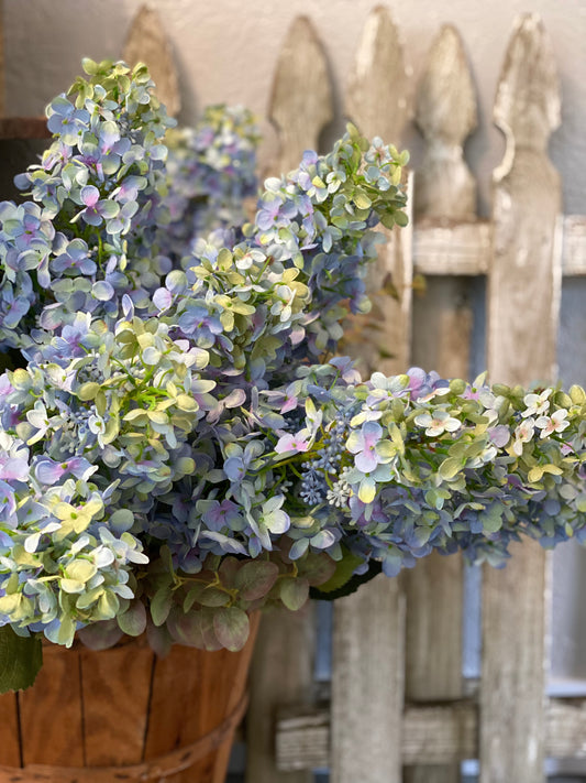 Blue cone Hydrangea stem