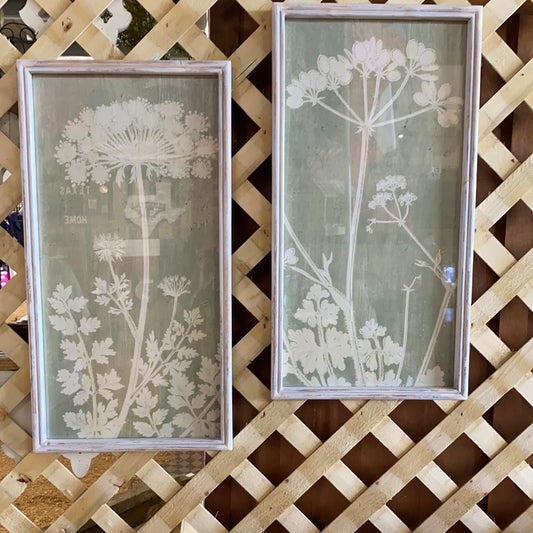 White floral frames