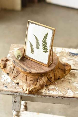 Floating fern frames