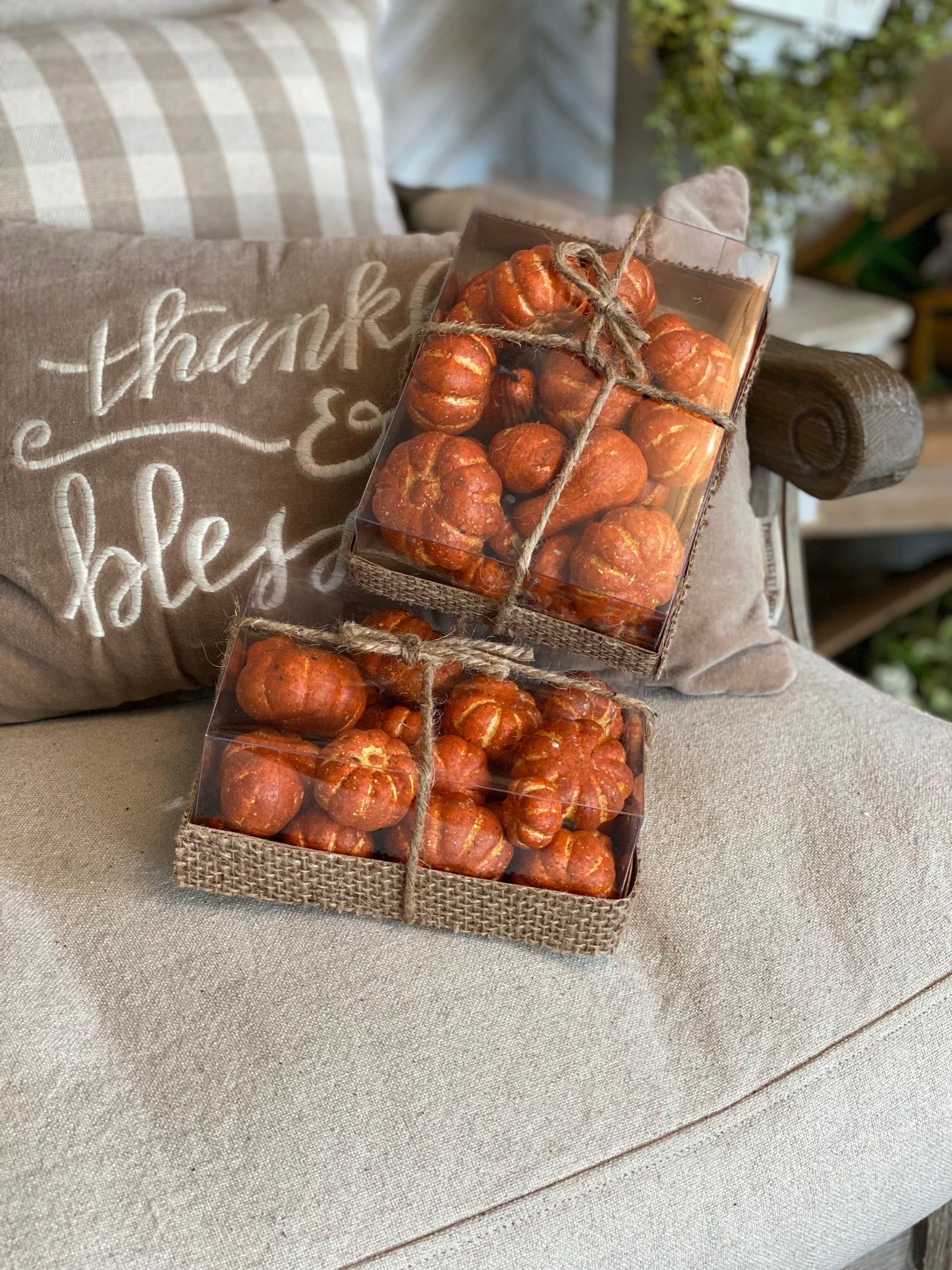 Box of assorted mini pumpkins