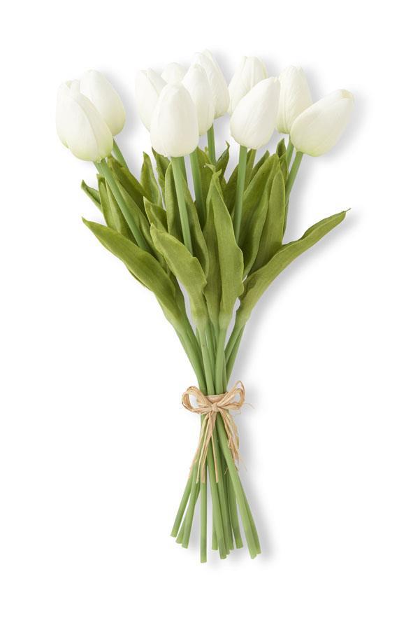 White Tulips